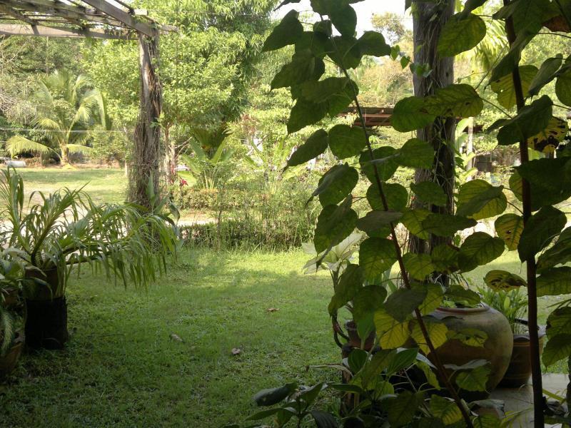 The Mangrove Hideaway Kohchang Koh Chang Esterno foto