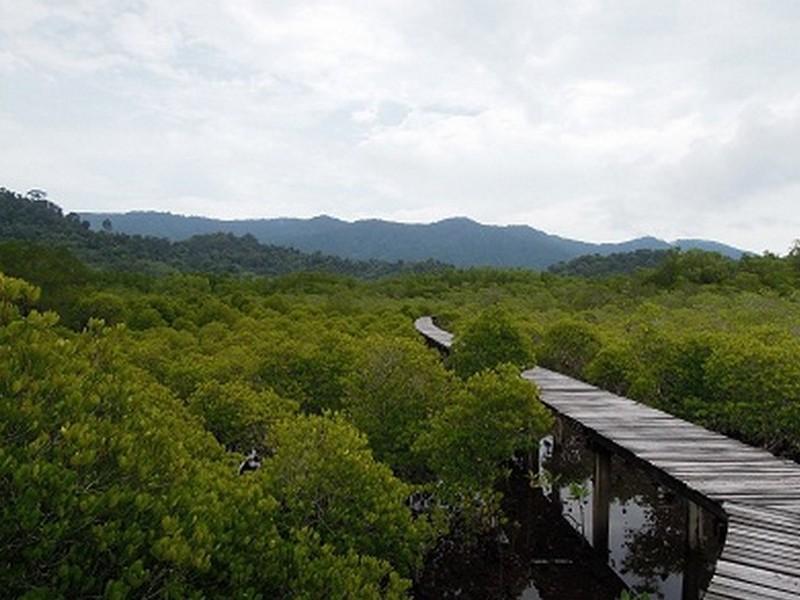 The Mangrove Hideaway Kohchang Koh Chang Esterno foto